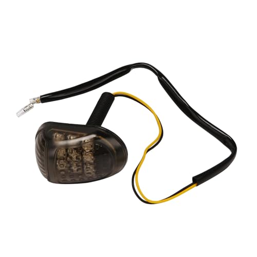 Clignotant LED moto 12V à forte luminosité MSX 125 - 5
