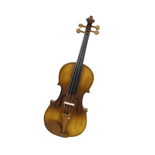 Violon 4/4 en palissandre de qualité avec instruments à cordes