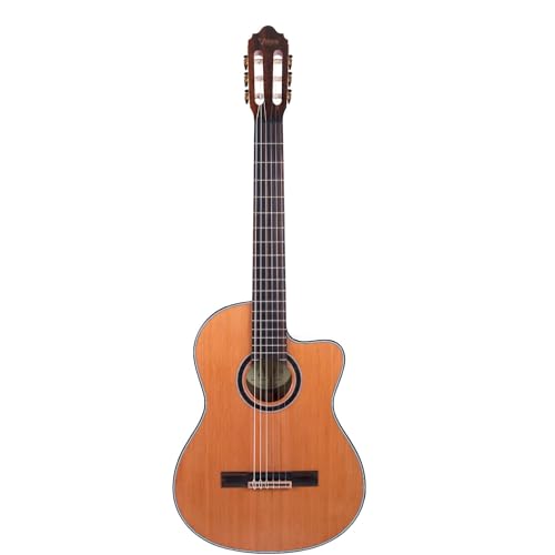 Amazon | Valencia (バレンシア) エレガットギター 薄胴 ボディ