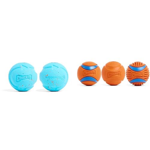 Chuckit Dog Ball Bundle - Medium 2 5-inch Fetch Balls - 5 Pack Combo with Rebounce Interactive Balls