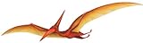 Walls of the Wild Pterodactyl