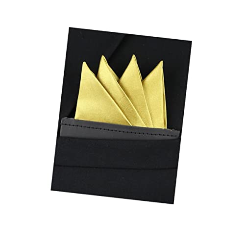 RULASIN Men's PreFolded Pocket Squares on Card,Men's Suit Handkerchief .Perfect fashion accessory for men.yellow