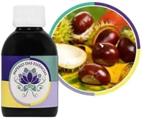Extrato Glicólico de Castanha da Índia, Adstringente, Anti-inflamatório, 100ml, Império das Essências