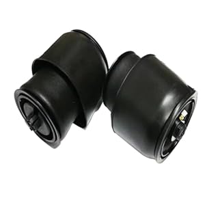 DZWDY Luftfederung Hinten 2 Stück für X5/X6 F15/F16