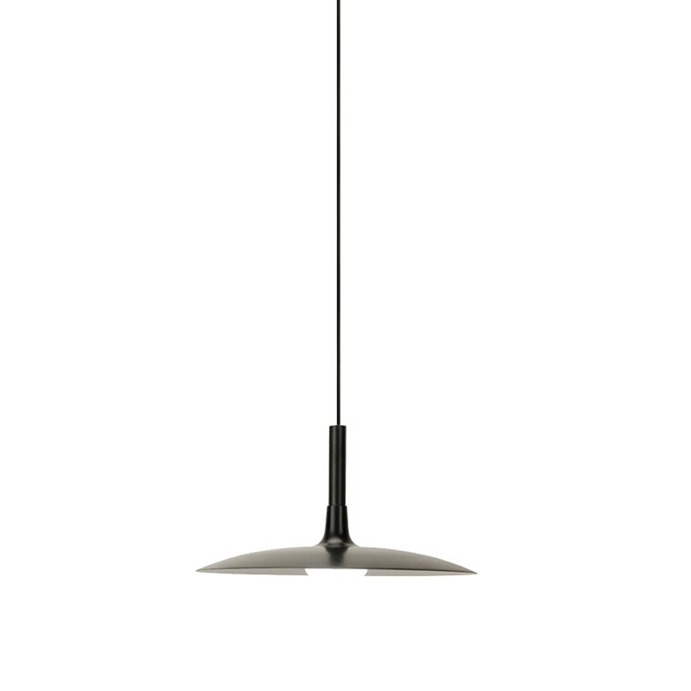 Lustre suspendu réglable pour illuminer un loft sombre - 2