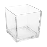 Ipetboom Jarrón Hidropónico de Vidrio Grueso Transparente Cuadrado 15x15 Cm, Jarrón de Cristal Pequeño Adecuado para Escritorio y Decoración del Hogar