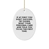 Personal Care Aide Humor Oval Ornament Gifts for Women - Funny Inspirational Quotes About Success - Christmas Unique Gifts from Friends for Caregivers
