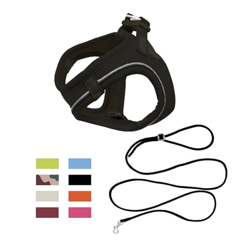 Qianruida Harness and Leash for Cat or Puppy, Adjustable Set in Soft Nylon, Secure Comfort for Walking Training, Outdoor