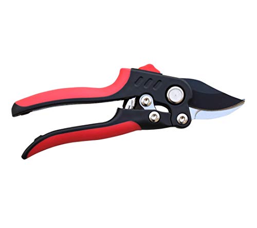 Image of TABOR TOOLS S851A Bypass Pruning Shears with Compound Action, High Carbon Steel Blades with 3 /4 Inch Cut Capacity, Professional Hand Pruner & Garden Secateurs for Easy Cutting, Safety Lock