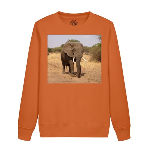 Sweatshirt enfant éléphant d'Afrique imprimé savane pour garçon et fille