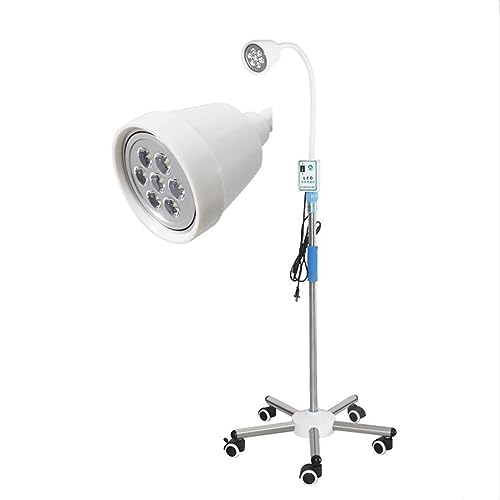 Lampe d'examen médical au sol mobile et réglable pour chirurgie vétérinaire