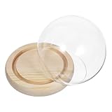 FRCOLOR 球形透明ガラスドーム 小型ディスプレイケース 木製ベース付き チュア保存花 フラワークラフト用 卓上装飾インテリア