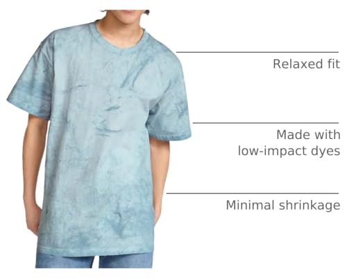 Image of Comfort Colors Adult Short Sleeve Tee, Style G1717