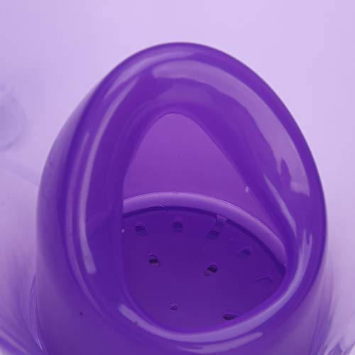 Gesichtsdampfer, weiche praktische Nebelsprüher 18 Minuten Sprühzeit ABS ± 45 ℃ (lila)