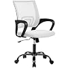 BestOffice Office Chair Ergonomic Desk Chair Mesh Computer Chair Lumbar Support Modern Executive Adjustable Stool Rolling Swivel Chair for Back Pain,White