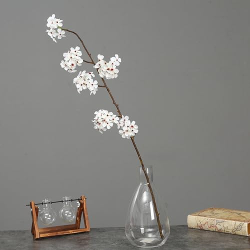 uTuokusvlHϗtA  ̉   t[AWg ͂Ȃ tFCNO[ CeA  O[ fR[V ͂Ȃ {  {   sv bsv  Vzj ̓ 