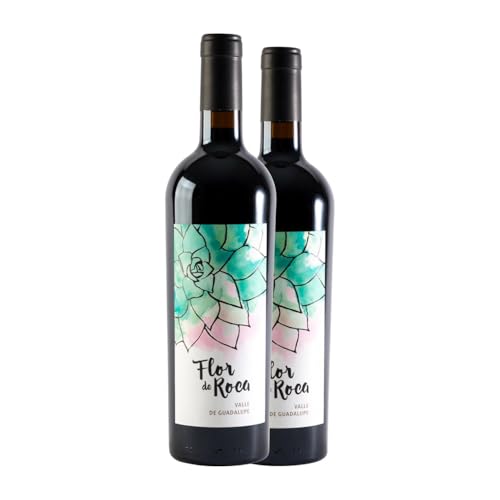 Casta de Vinos Flor de Roca Valle de Guadalupe Cabernet 75 cl Vino tinto (Caja de 2 Botellas de 75 cl)