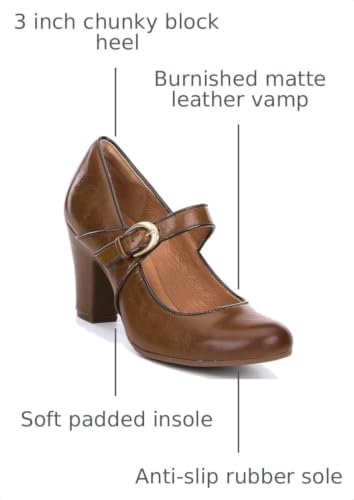 Image of SHODENSE Women Vintage Chunky High Heel Mary Jane Shoes Round Closed Toe Ankle Strap Dress Sandals 3 inch Block Heels Mary Jane Lolita Pumps Two-Toned Patchwork Buckle Office Lady Wedding Retro 4-11 M US