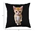El Gato Meme Sad Crying Cat Munchkin Kitty Meme Trendy Throw Pillow
