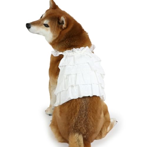 ybgp_CX   t  rX`F |Pbg N[ xXg zCg ۗ t yQl SM Č r[O (`13kg) ybgp_CXcX72XܓWJ2025/10/1_z