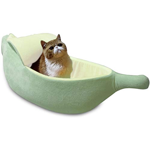 soft cat bed