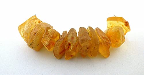 27.93 Grams Eleven Natural Copal Amber Focal Bead Gemstone Gem Stone Ebs8676 #TOP18