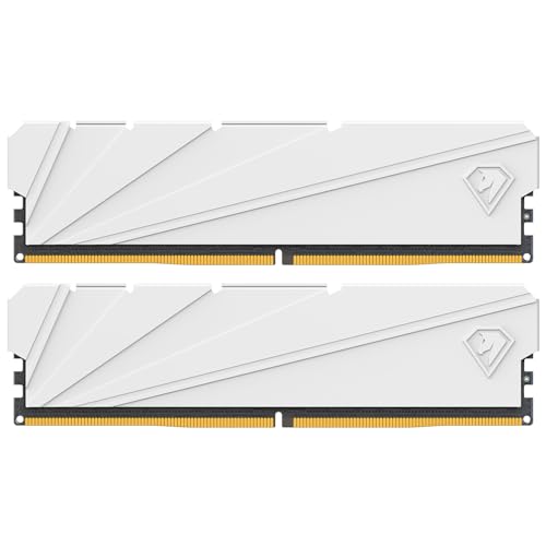 Netac 32 GB (2 x 16 GB) DDR4 3200 MHz C16 XMP 2.0 High Performance Desktop Workstation Kit, Color...