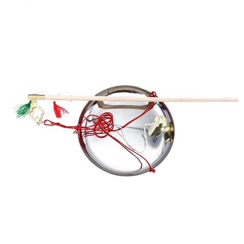 HOODANCOS Báscula de Mano para Pesar Medicina Tradicional China y Cocina, Capacidad 500 G, Material Resistente y Duradero, Escala Precisa para Alimentos y Condimentos, Uso Doméstico y