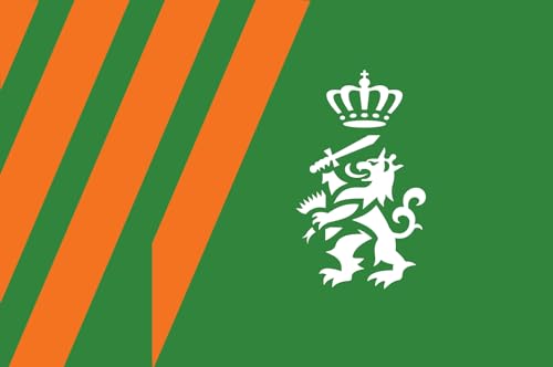 Drapeau Landmacht vlag 2001-2011 grand format en maille drap