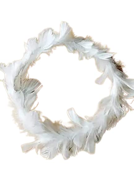 Tiara with led for Girls Floral Crown/Birthdays Parties Celebrations Tiara Crown (Multi Colour) 1pcs (Feather Tiara White) (B0C2TC4NJ1) Amazon Price History, Amazon Price Tracker