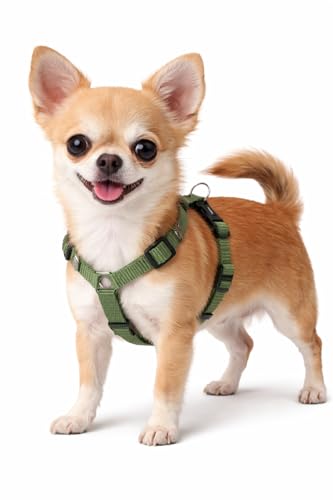 Harnais Chien - Harnais Ziggi Kaki H-Forme - Taille XS - 25-40 cm / 30-45 cm - Nylon réglable - Anneau métal Nickel