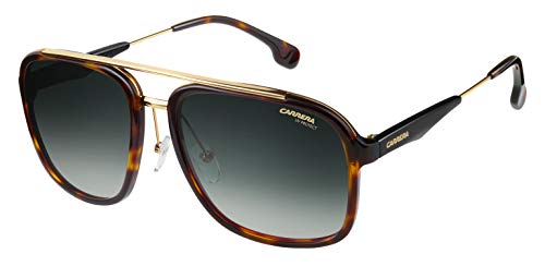 Carrera Men's CA133/S Pilot Sunglasses, HAVANA GOLD/GRAY GREEN, 57 mm