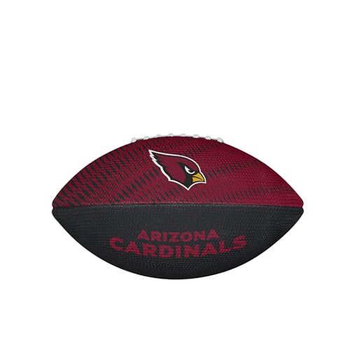 Image of WILSON Unisex NFL Team Tailgate Footballs