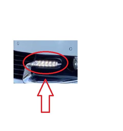 ATU LED diurna, LED de parachoques lado izquierdo compatible para Scénic III OE: 266055004R