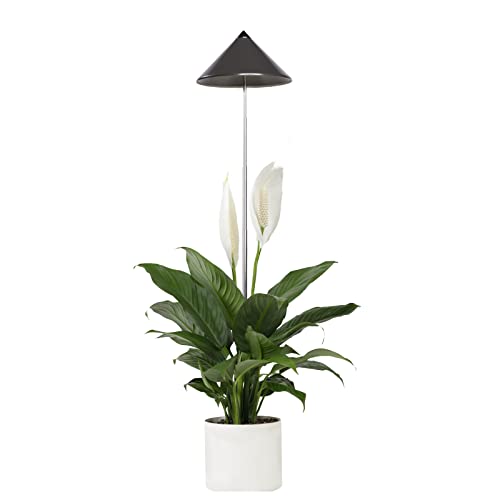 Parus by Venso SUNLiTE 7W LED Vollspektrum Pflanzenlampe Grau,...