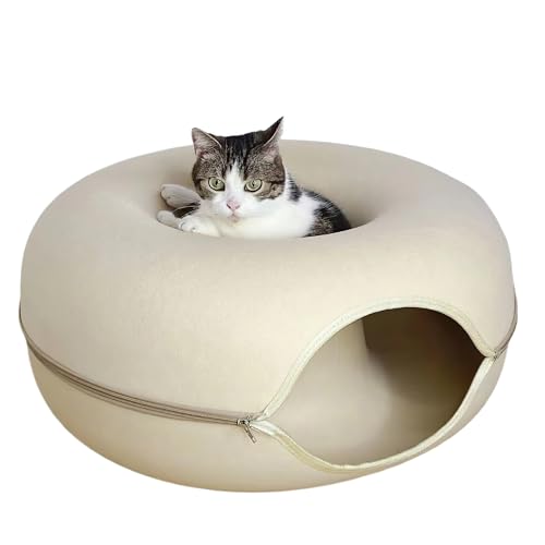 FANISA Lh[ic Lpxbh Lbgh[ic Lgl O\ 􂦂Lpxbh ^ɓKxbh p Lgl (M,ItzCg)