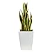 Nearly Natural 31in. Sansevieria Artificial Plant in Black Metal Planter