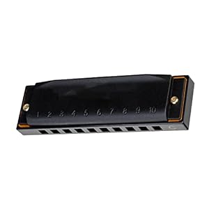 Yuxahiugkq Armonica 10-gaten Diathonic Blues Harmonica-sleutels C D G 3 Tonen for beginners duurzaam