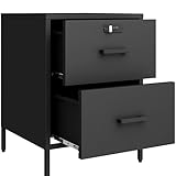 Steehoom Metal Nightstand,2 Drawer End Side Table Lockable Modern Locker Storage Cabinet for Living Room, Bedroom, Dorm, 21.26”H X 15.75”W X 15.75”D (2 Drawer, Black)