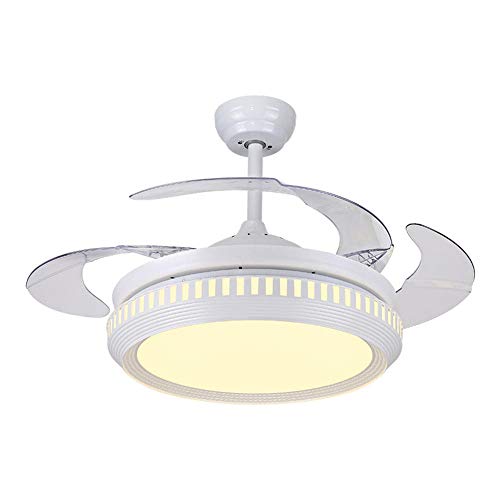 JiuhengChandelier Silent Motor with Lighting Fixture-b2