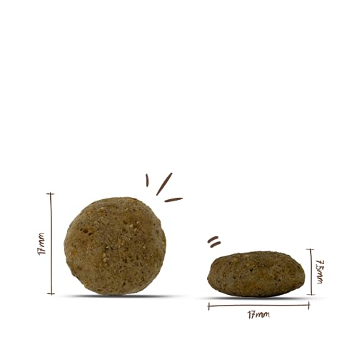 HPC Vegan Adult Kartoffel und Erbsen | Hundetrockenfutter Für Ausgewachsene Hunde Aller Rassen | Single Protein Grain-Free | 1 x 10 Kg