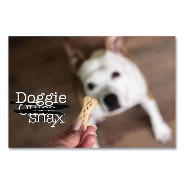 Amazon.com: Office Snax Doggie Snax, 10-Pound Box : Pet Supplies