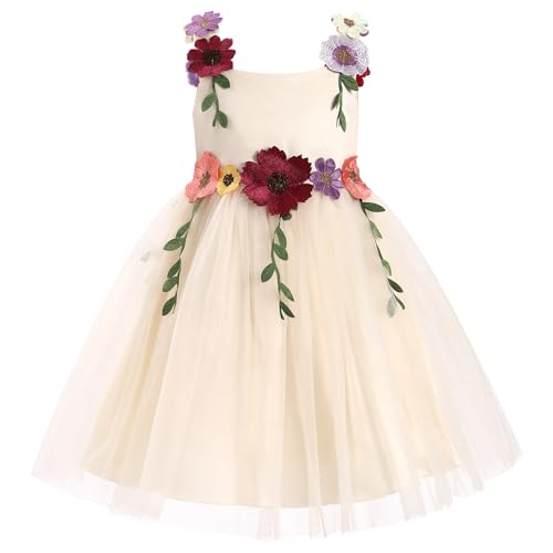 ODASDO Flower Girls Floral Embroidery Princess Tulle Dress Champagne 4-5T