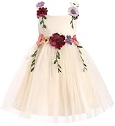 IDOPIP Toddler Baby Embroidery Flower Girl Dress for Kids Wedding Pageant Party Prom Gown Communi...