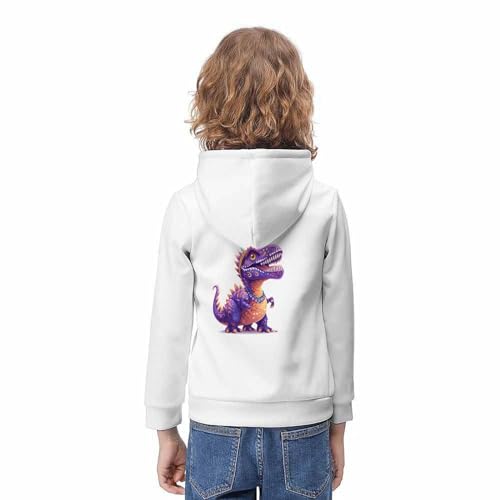Pull dinosaure capuche garçons filles sweat imprimé 3D 11-13 ans