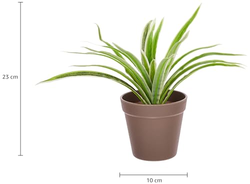 Image of amazon basics Artificial Plants with Pot| Dragon Grass| Lifelike Appearance | Durable Plastic | No Maintenance | Home Decor | Dimensions: 10 cm X 23 cm (Pack of 4)
