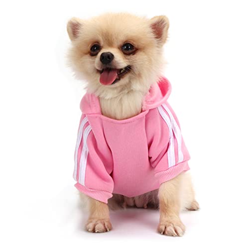 dog sweaters for medium dogs