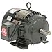 U.S. Motors US Motors Hostile Duty TEFC, 1 HP, 3-Phase, 1155 RPM Motor, H1P3H