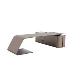 CHICKEN Computer Desk Boss Desk CEO Modern Chairmans Office Single Standing Desk