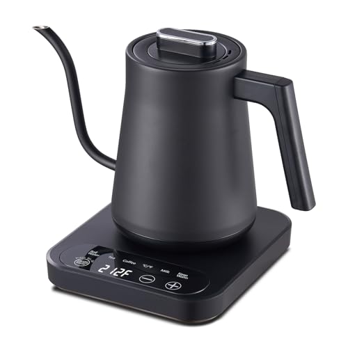 CTT Gooseneck Electric Kettle with Temperature Control